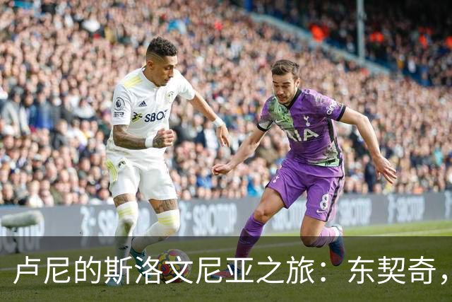 卢尼的斯洛文尼亚之旅：东契奇，你真是一个宝藏小伙伴！